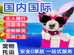 兰州航空货运国际宠物托运 【国